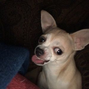 Meet your Posher, Jaden